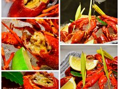 -STARRY CAFE & LOUNGE BAR(高新店)