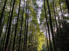 -山王坪喀斯特国家生态公园