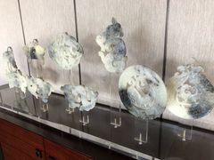 -北京雁栖湖国际会展中心