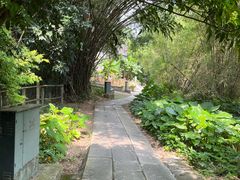 -开平碉楼文化旅游区马降龙景区