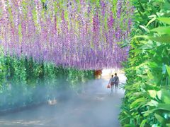 -东莞观音山旅游风景区