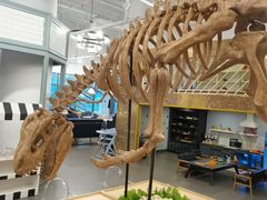 -FAIRYLAND龙族星球主题餐厅(凯丹广场店)