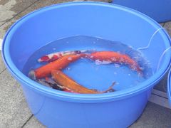 -华声天桥民俗文化园