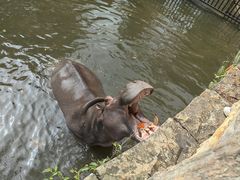 -海南热带野生动植物园