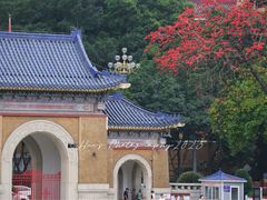 -广州中山纪念堂