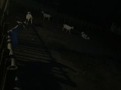 -鸿华度假酒店