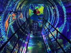 -上海梵高星空艺术馆(南京路旗舰店)