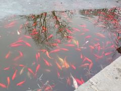 -天宁寺