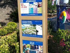 -三亚亚龙湾美高梅度假酒店Fun动冲浪