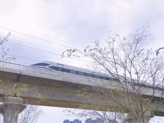 -光明小镇欢乐田园