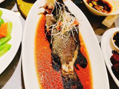 清蒸桂鱼-光明邨大酒家(汇阳广场店)