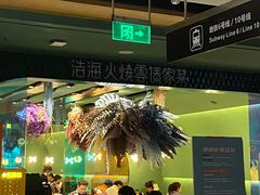 -浩海火烧云傣家菜(京广店)