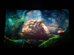 -万达影城(世茂海峡广场IMAX店)