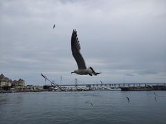 -大连圣亚海洋世界
