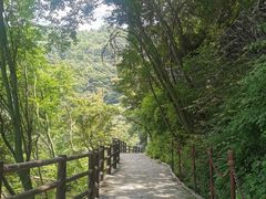 -少华山国家森林公园