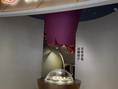 -波螺油子青岛本帮菜(银座店)