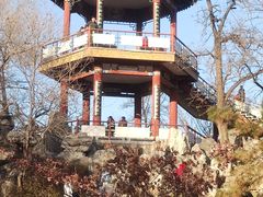-莲花池公园
