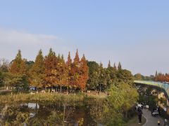 -白鹭湾湿地公园