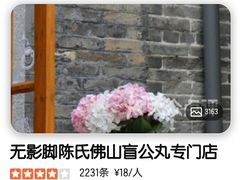 -无影脚佛山陈氏盲公丸始创店(飞鸿街店)