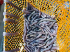 -崖口红树林海鲜餐厅