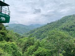 -野象谷景区