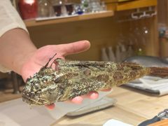 -镹·鱼料理  国产鱼使用店