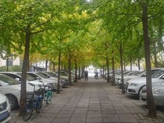 -东丽温泉羽毛球