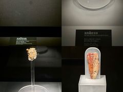 -徐州博物馆