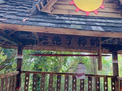 -西双版纳基诺山寨