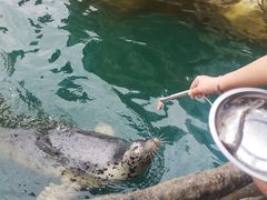 -华夏文旅海洋公园