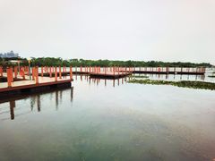-芒洲湿地公园