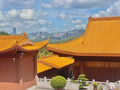 -深圳仙湖植物园