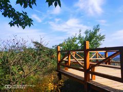 -大岭沟猕猴桃谷风景区