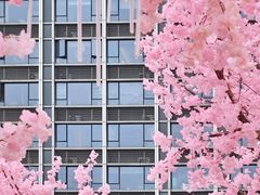 -首开·龙湖成都西宸天街