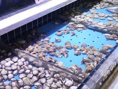 -聚盛源蒸汽海鲜火锅烤肉自助(巨川金海岸购物广场店)