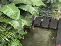 -漫笙舍Manse·咖啡·民宿