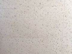 -左庭右院鲜牛肉火锅(苏州园区永旺店)