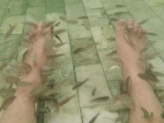 -御龙温泉度假村