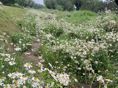-汉长安城未央宫国家考古遗址公园