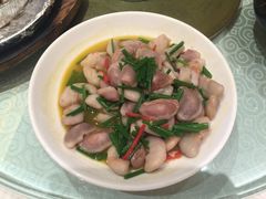 四季春大酒店-四季春