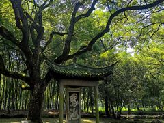 -兰亭风景区