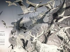 -中国湿地博物馆