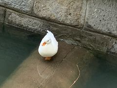 -包公祠