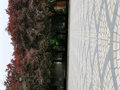 -秦始皇帝陵博物院(兵马俑)
