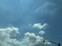 -東豫狼鲜货烧烤. 碳火烤鱼. 小龙虾(上海首店)