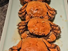 -南京大牌档(中关村领展广场店)