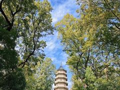 -灵谷景区