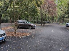 -东平国家森林公园