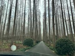 -上海怡沁园度假酒店