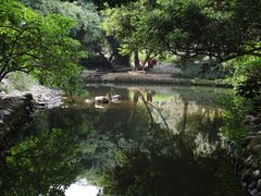 -成都市活水公园